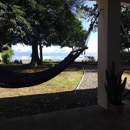 Happy Monkeys Villa Puerto Jimenez Exterior photo