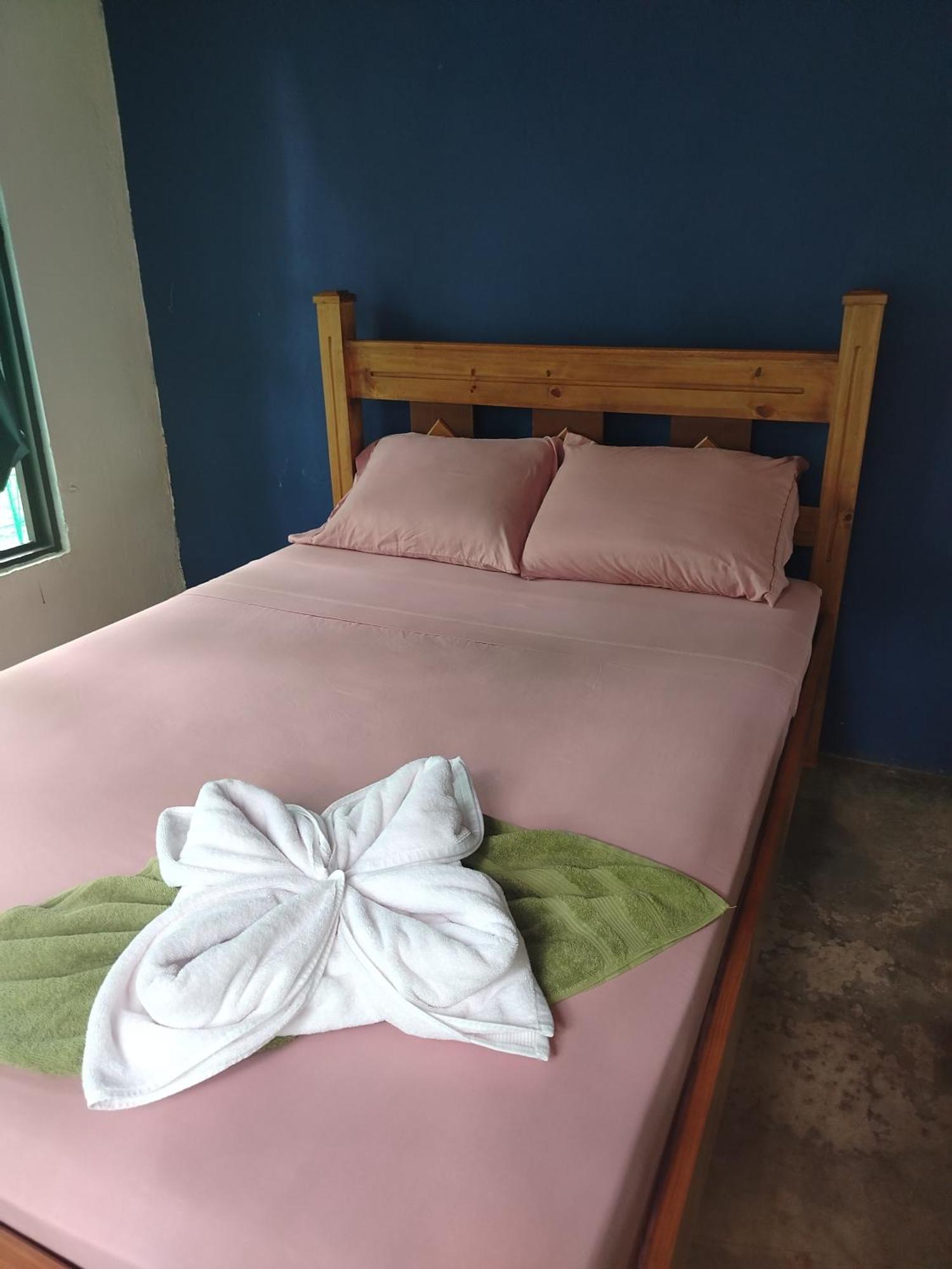 Happy Monkeys Villa Puerto Jimenez Exterior photo